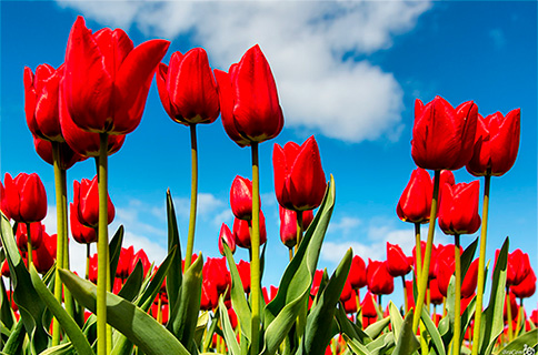 График работы на майские праздники